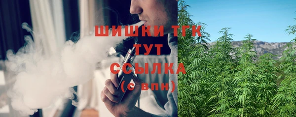spice Новозыбков