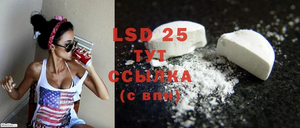 spice Новозыбков