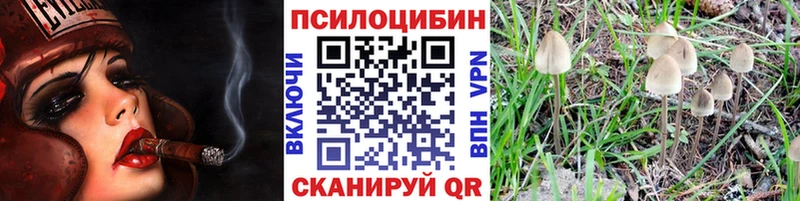 как найти наркотики  Краснодар  Псилоцибиновые грибы Magic Shrooms 